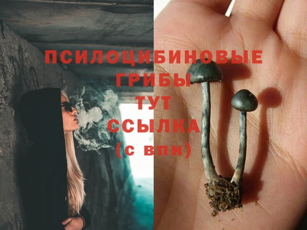 ALPHA PVP Баксан