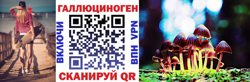 Галлюциногенные грибы Psilocybe  купить   нарко площадка официальный сайт  Ува 